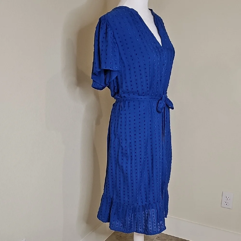 Ann Taylor Blue V-Neck Flutter Sleeve Dress Sz XL - Picture 4 of 9